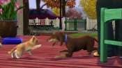 Sims3-pets-pes-a-kocka-600x337